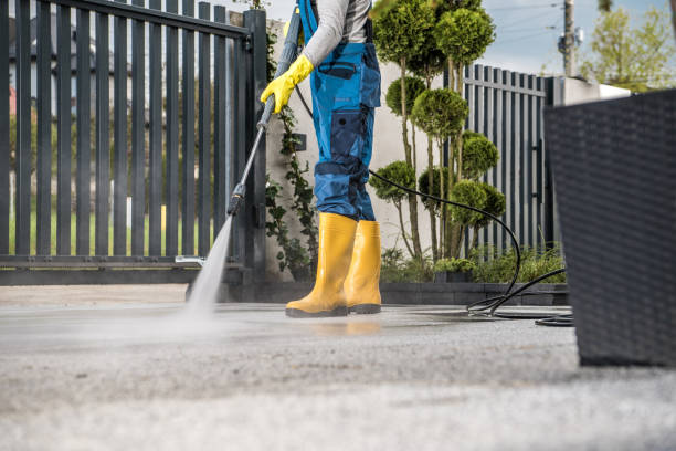 Best Roof Washing  in Radford, VA